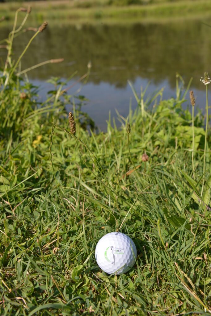 Golf Domaine d'Albon - 410 Route de Senaud, 26140 Albon, Drôme - Tél: 04 75 03 03 90 - contact@domainegolfalbon.fr